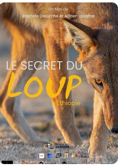 Le Secret du Loup d’Éthiopie, (Ciné débat en présence du réalisateur ) - (Festival le Ciné est dans le Pré)