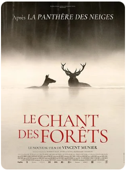 Le Chant des forêts Le Chant des forêts