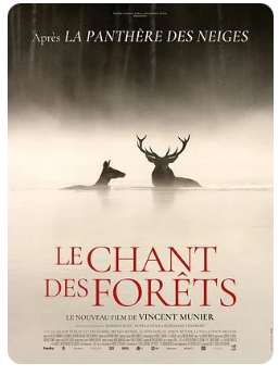 Le Chant des forêts (Festival Jeunes et Toile) Le Chant des forêts (Festival Jeunes et Toile)