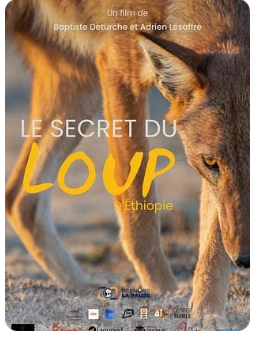 Le Secret du Loup d’Éthiopie