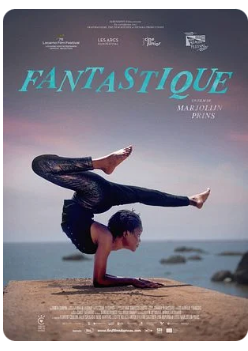 Fantastique - Festival Play Time - (Ciné Discussion) 