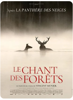 Le Chant des forêts (Dans le cadre des Incontournables du vendredi)