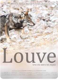 Festival le Ciné est dans le Pré : Louve, une vie dans les Alpes