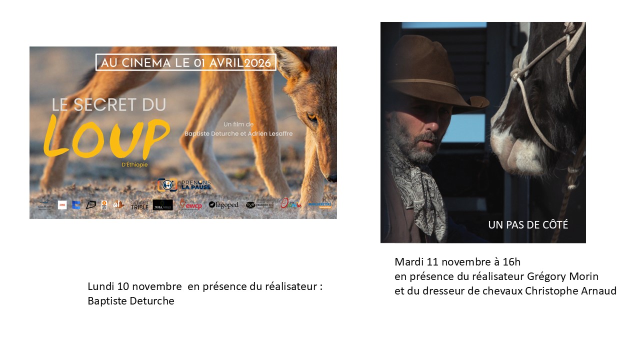 Lundi 10 novembre 20h30 